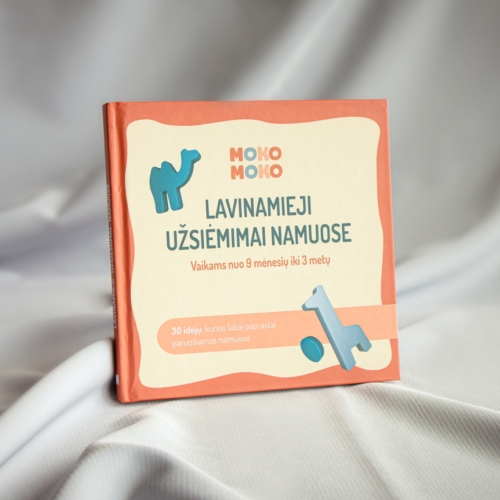 Lavinamųjų užsiėmimų knygelė